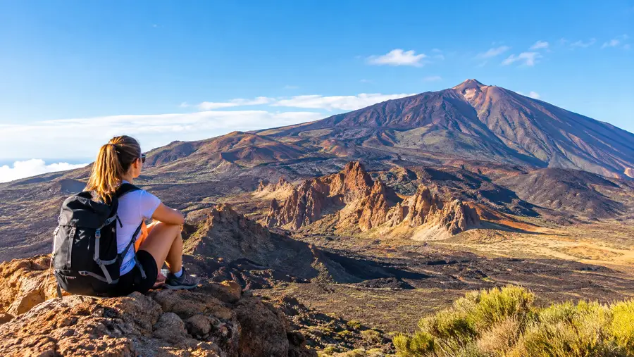 Teide National Park Viewpoints, Wildlife, and Eco-Tax Rules