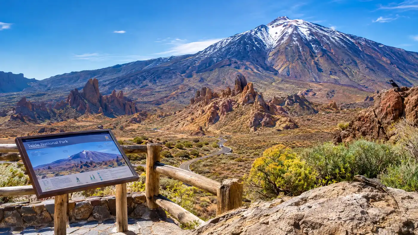 Teide National Park Viewpoints, Wildlife, and Eco-Tax Rules