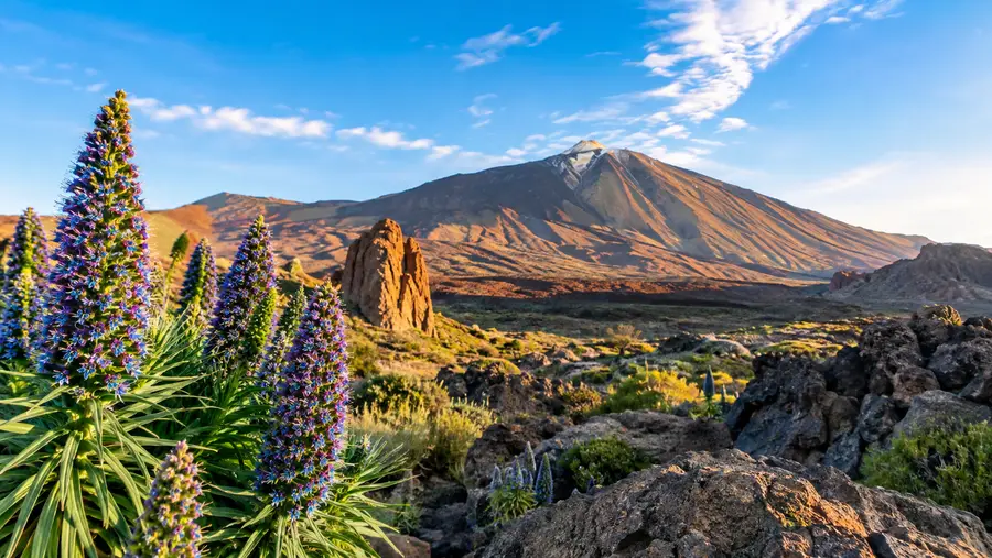 Dove soggiornare nel Parco Nazionale del Teide: Hotel, Parador e Campeggio